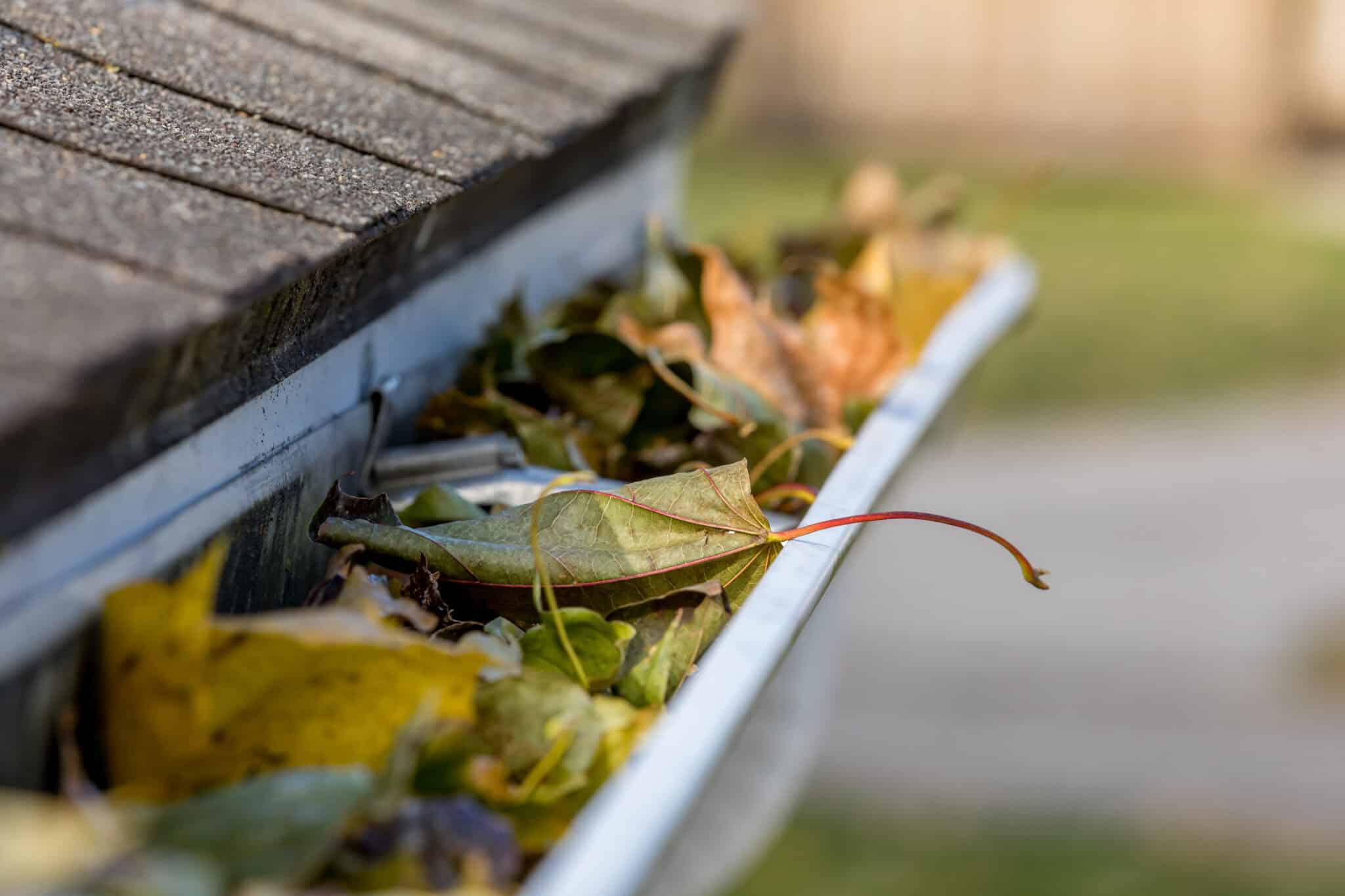 Austin Gutter Cleaning Near Me