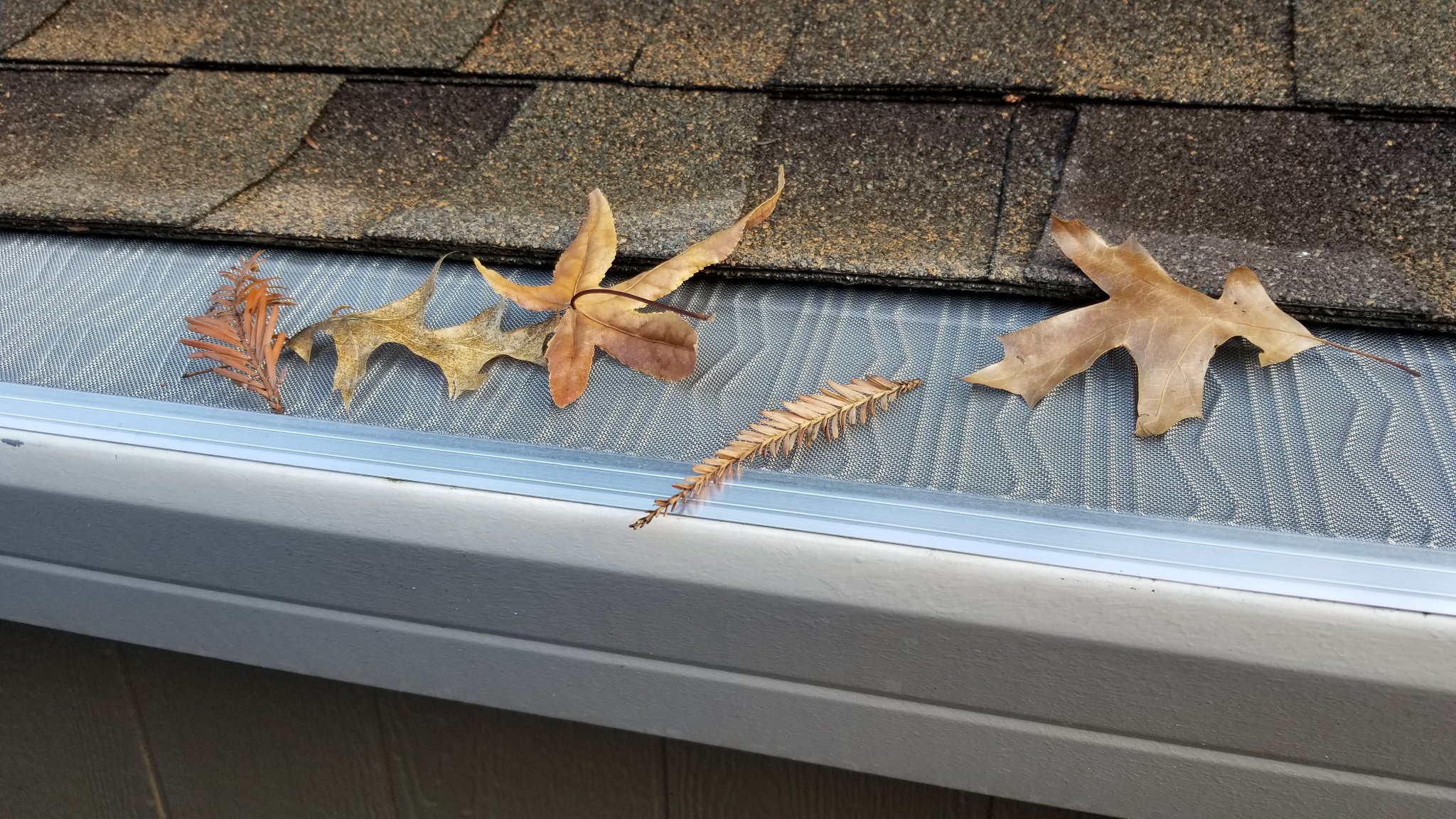 leaf gutter protection Cedar Park, TX